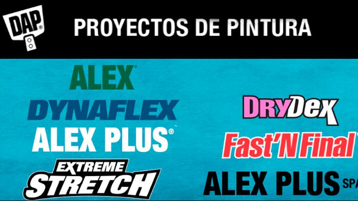 Banner de Proyectos de Pintura